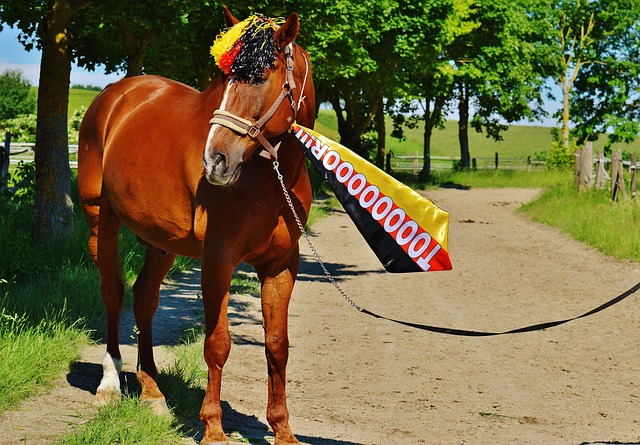 并注入了新 并注入了新