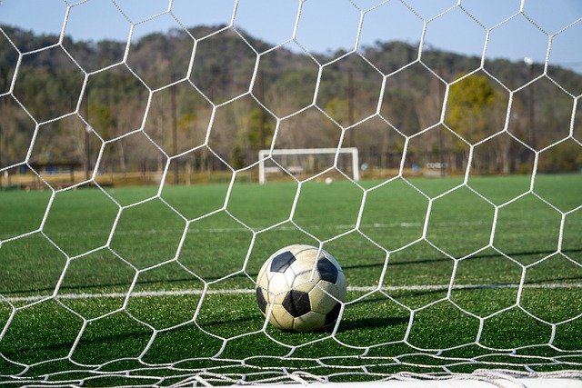 展现的不止 展现的不止