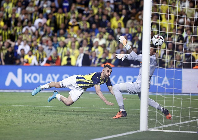 陈幸同的心 陈幸同的心