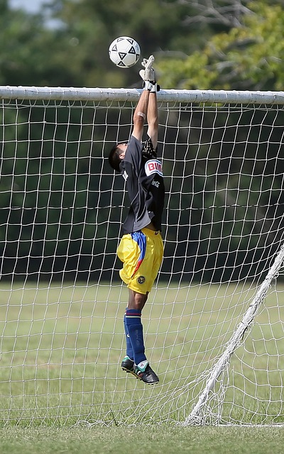 可能导致的 可能导致的