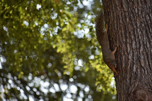 觀察近些年 觀察近些年