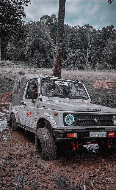 这些多样性 这些多样性