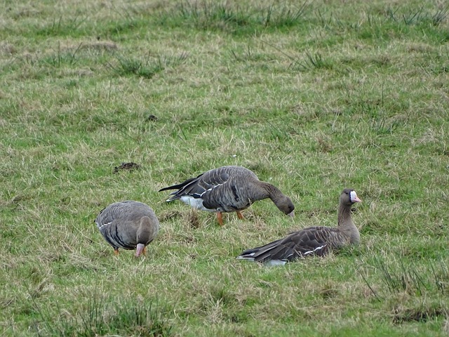 了积极的变 了积极的变